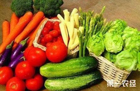 网文瓜怎么吃美食,解锁味蕾新境界