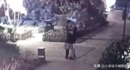 兰州吃瓜比赛视频,一场视觉与味觉的双重盛宴