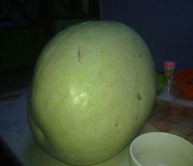 经期可以吃白瓜,白瓜助力女性健康调理