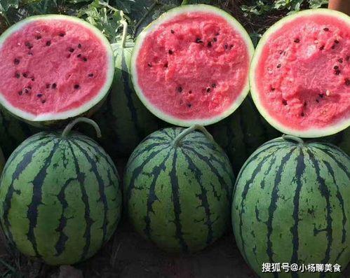 好朋友之间吃瓜状态