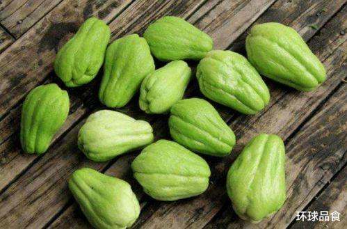 蝈蝈吃佛手瓜,自然界的和谐共生