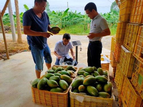 吃瓜群众请安静,揭秘网络舆论场的冷静思考