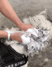 河里洗澡吃瓜,沐浴河水中，尽享瓜果清凉时光