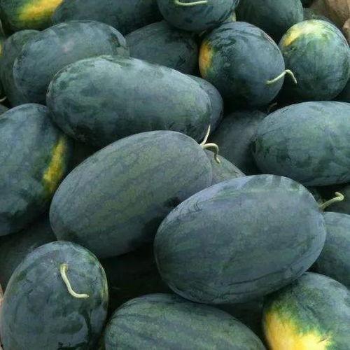 雨城区吃瓜,品味清凉，畅享生活