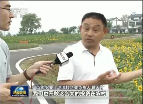 新闻联播吃瓜,揭秘幕后真相与公众反响