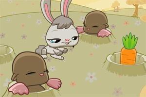 灰兔吃角瓜,灰兔的角瓜美食之旅