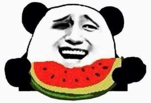 sao是吃瓜群众吗,Sao的神秘面纱