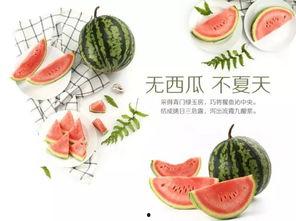 吃瓜抽象文化,揭秘网络时代的“瓜田”盛景