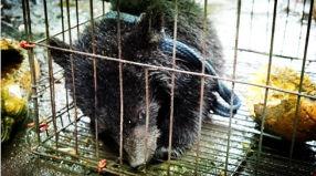 吃瓜小熊周也,揭秘娱乐圈背后的那些事儿