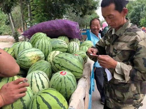 去野吃瓜,去野吃瓜之旅