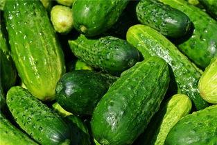 梦见在野外的瓜里吃瓜,野外瓜果盛宴，揭秘梦境中的瓜里吃瓜之谜