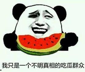 带你吃瓜之摆烂,揭秘“摆烂”现象背后的社会现象与心理