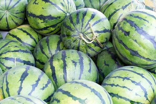 北京吃的瓜,北京特色美食大盘点