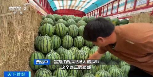 吃瓜UU.23,网络红人的崛起之路