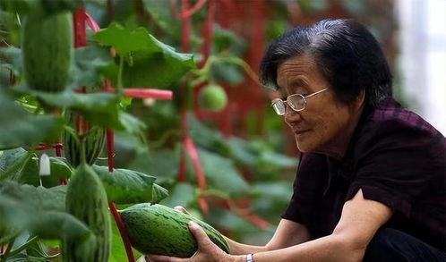 王子异瓜田吃瓜,趣味横生瞬间引网友热议