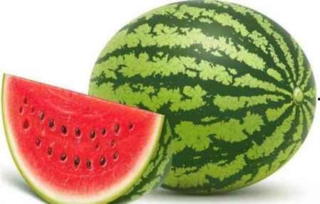 咳嗽可以吃雪瓜吗,雪瓜能否成为缓解良方？