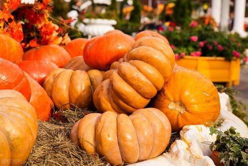 吃秋瓜补钙,秋季补钙新选择