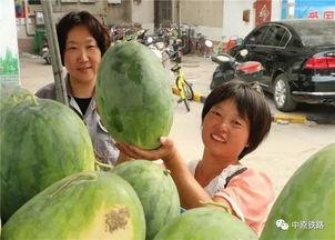 东营小区吃瓜事件,邻里纠纷引发社会关注