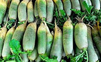 吊瓜可以天天吃,每日滋养，健康生活新选择