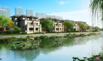 桐乡西郊庄园吃瓜,夏日避暑吃瓜好去处