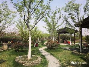 桐乡西郊庄园吃瓜,夏日避暑吃瓜好去处