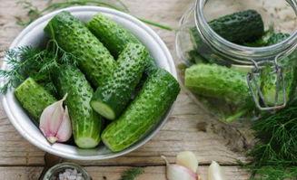 kol日常吃瓜,KOL们的日常吃瓜记