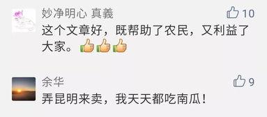 昆明吃瓜公众号,揭秘昆明美食圈那些鲜为人知的秘密