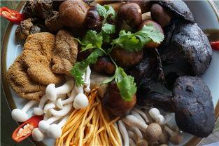 吃瓜小菌菌,揭秘娱乐圈那些不为人知的幕后故事