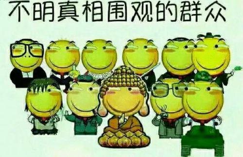 吃瓜群众简洁沉稳,吃瓜群众视角下的沉稳观察