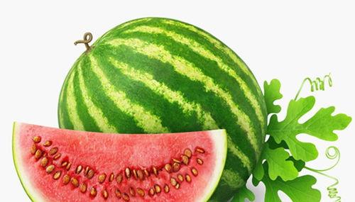 怎么查吃瓜,轻松掌握查吃瓜的秘诀