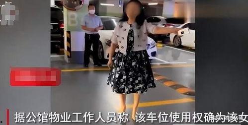 深圳宾利吃瓜视频,一场意外的网络热议