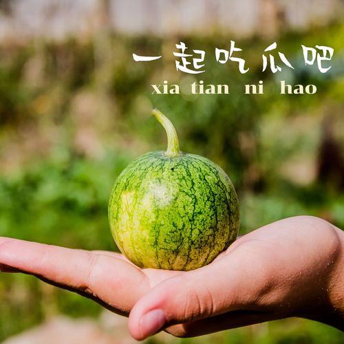 怎样在线吃瓜,揭秘网络吃瓜攻略