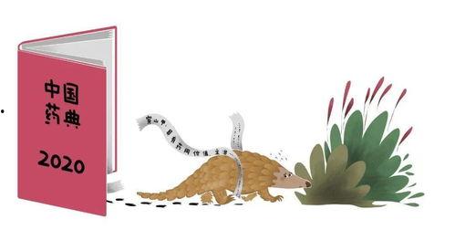 《吃瓜学法》背景,揭秘网络舆论场中的法律智慧与法治精神