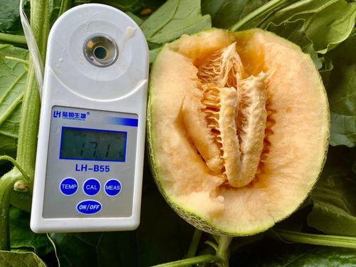 十八吃瓜全集,揭秘娱乐圈背后的风云变幻