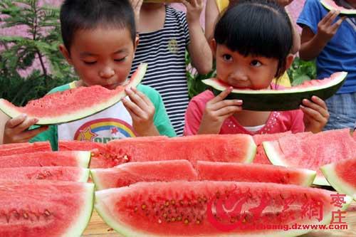 鲁南化工吃瓜,揭秘背后的真相与影响