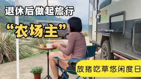 豚鼠可以吃哈密瓜,哈密瓜的甜蜜诱惑