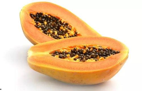 木瓜园吃瓜视频,甜蜜瓜果盛宴，尽享田园生活乐趣