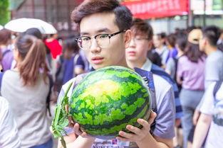 吃瓜看戏迷,揭秘娱乐圈幕后风云