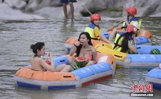 参与者吃瓜,参与者共享美食时光