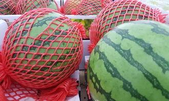 发烧吃瓜,揭秘网络热点的背后真相