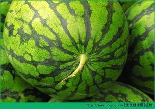 发烧吃瓜,揭秘网络热点的背后真相