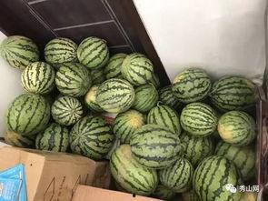 有尝吃瓜群,揭秘网络社交新潮流