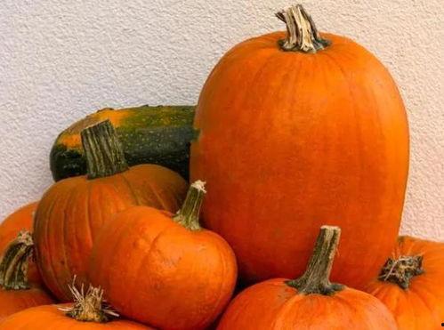 随便吃瓜英文,Rumors and Gossip: Navigating the World of 'Eat the Watermelon'