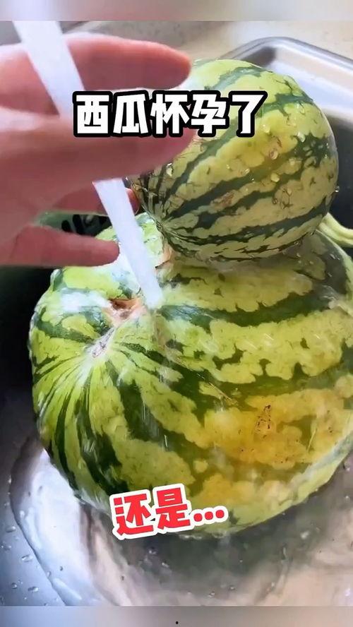 搞笑吃瓜热点视频,笑到肚子疼！