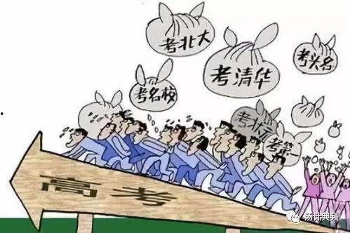 吃瓜群众高考,吃瓜群众视角下的青春盛宴