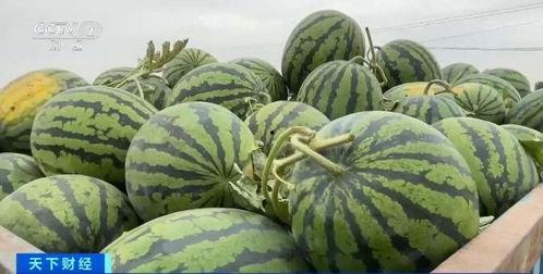 武安吃瓜网,揭秘本地热点事件，带你领略网络舆论风云