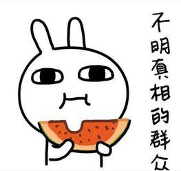 在哪里能污污的吃瓜,揭秘“污污吃瓜”的独特体验地