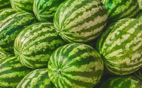 2023吃瓜新闻,娱乐圈风云再起，社会热点事件频出