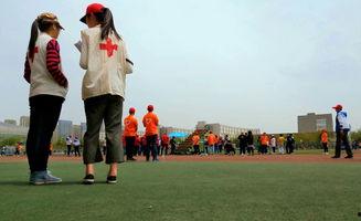 晚安群众吃瓜图片,网络狂欢背后的真相