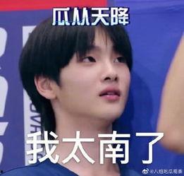 少年感吃瓜头像,揭秘那些充满少年感的吃瓜头像魅力